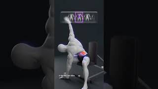 How to Get Six Pack Abs in 7 Days (Real Workout)#Gym #Workout #Fitness #GymLife