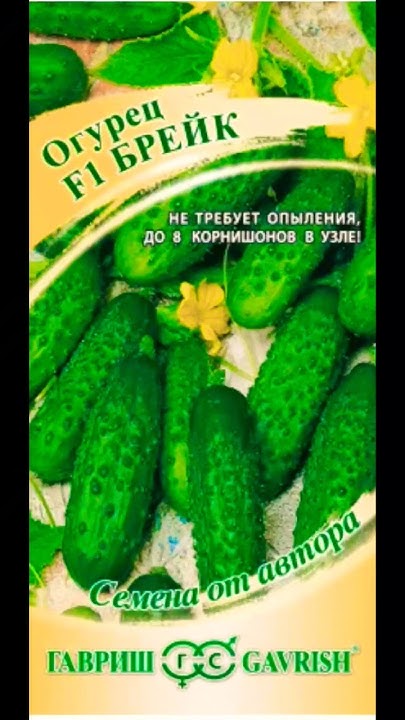 Посадила огурец Брейк. Нужна помощь.Posadila cucumber Break. Need help ...