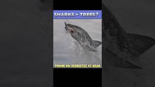 🦈 400 million saal purane! 😱 #shorts #ytshorts #facts #knowledge #shark