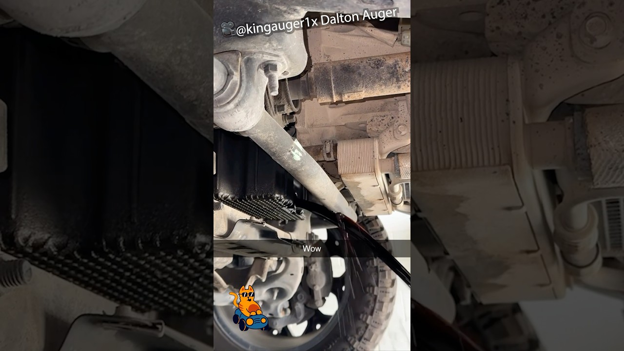 The apprentice is having a bad day 