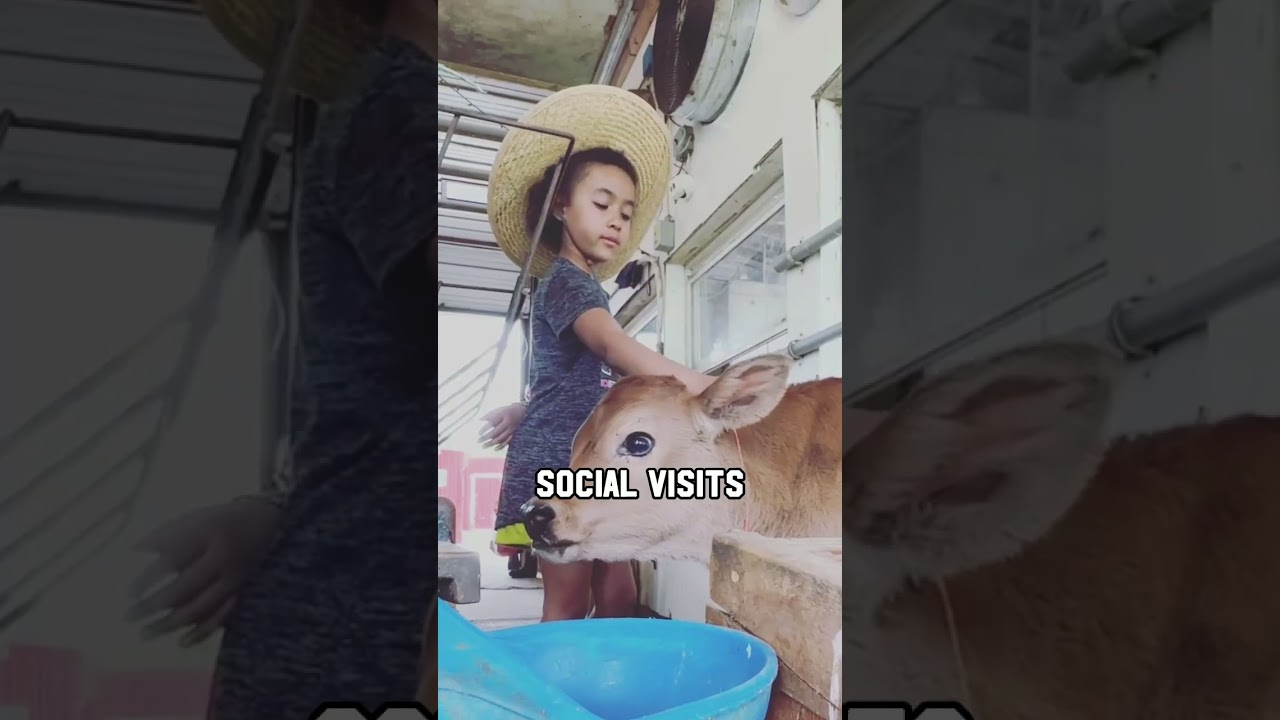 🌾 Welcome to Freedom Hill Farm!