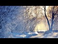 Emsiukas – Winter Mix [HD]