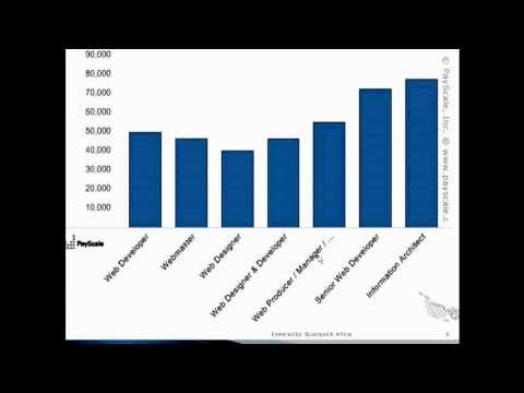 Website Design and Software Development training Part1