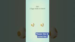 5km eggs hatching🥚 #pokemongo #pokego #pogo #gaming #pokemon #pokemoncommunity #hatching #eggs
