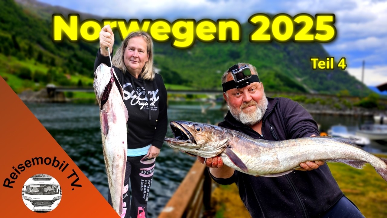 „Norwegen 2025 mit dem Wohnmobil – Große Fische & raues Wetter | Nesheim Teil 4“