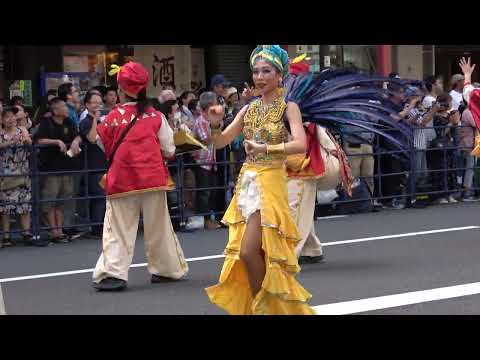 G R E S UNIÃO DOS AMADORES ウニアン ドス アマドーリス 2024 浅草サンバカーニバル 