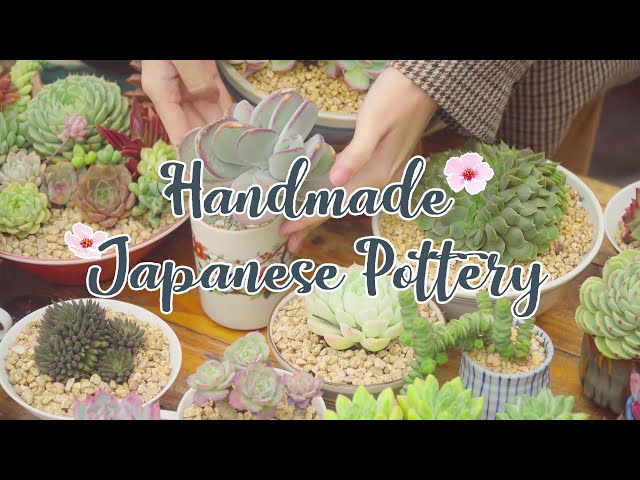 where can i buy a pot plant Buy Jade Pothos Online in the USA  Grounded