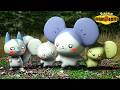 ちいかわ...？【ポケモンチャンピオンズ】