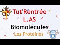 Tutrentre las 2021biomolculesles protinesjour5