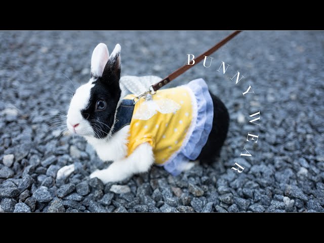うさぎちゃん ハンドメイド ワンピース DIY/make a bunny wear with bow and lace | ウサギの可愛い服の作り方