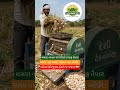 “Desi Jugaad Garlic Cleaning Machine 😲 | Farmer Innovation India | લસણ સાફ કરવાનું દેશી મશીન”