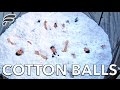 TRAMPOLINE FILLED WITH 2,000,000 COTTON BALLS!