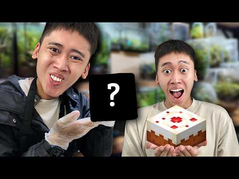 What to do for my birthday? (Kenjumboy - Vlog)