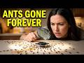 Why Ants Return Even After You Kill Them