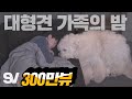 ENG) 25kg 아기 대형견과 함께 살면 벌어지는 일 [모두가 잠든 밤]