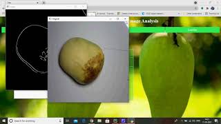 Size Properties of Mangoes using Image Analysis