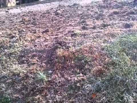 1605 Cherry St, Rocky Mount, NC home video tour