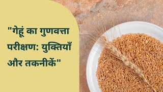 ऐसे होता हैं गेहूँ का गुणवत्ता परीक्षण | Wheat Quality Testing | 🌾🌾 screenshot 1