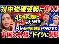 【焦る中国】45兆円の独市場を失う恐れ…反中国政策をやめさせて！中国外相がドイツに懇願‼︎