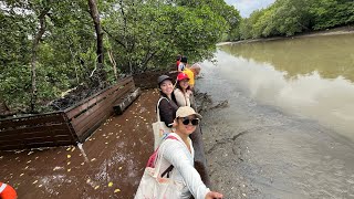 Sungei buloh walking trail