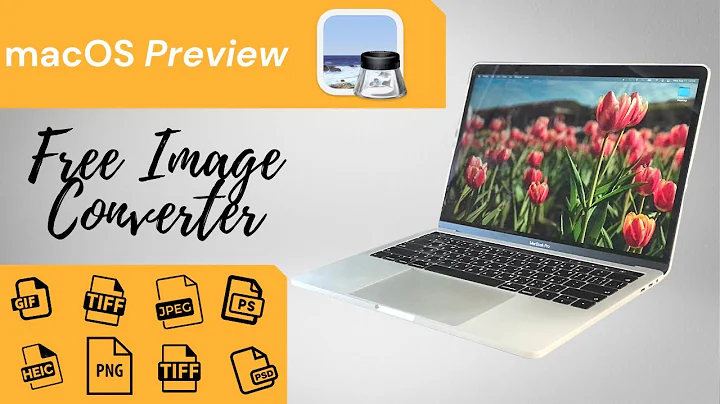 macOS Preview: FREE Image converter of macOS (JPEG,TIFF,PNG,PSD)
