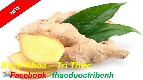 Trị rụng tóc. Mẹo Trị Rụng Tóc hoàn toàn Bằng Gừng Đơn Giản chỉ trong vài ngày