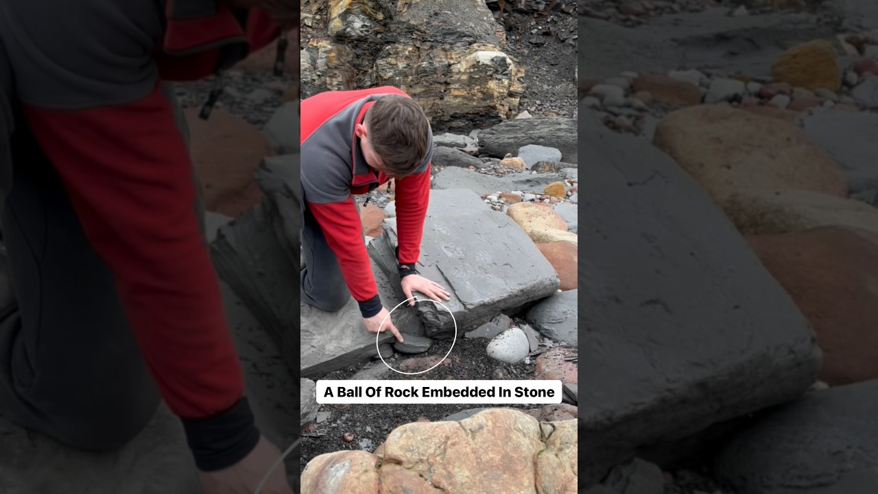 Spherical stones on the beach in the search for huge ammonites #fossil #dinosaur #reptile #sea