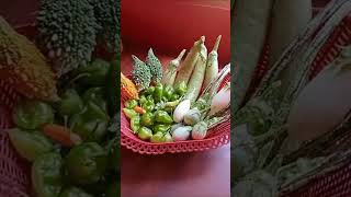 සුදු බටු  දැක තියෙනවාද  Home garden vegetables #tranding #viral #villagefood #youtubeshortvedio