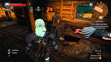 Witcher 3 shadowplay test ultra