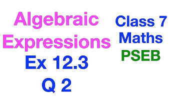 Q 2 | Ex 12.3 | Class 7 | Algebraic Expressions | Chapter 12 | PSEB | Maths