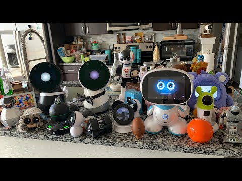 Jibo & Friends