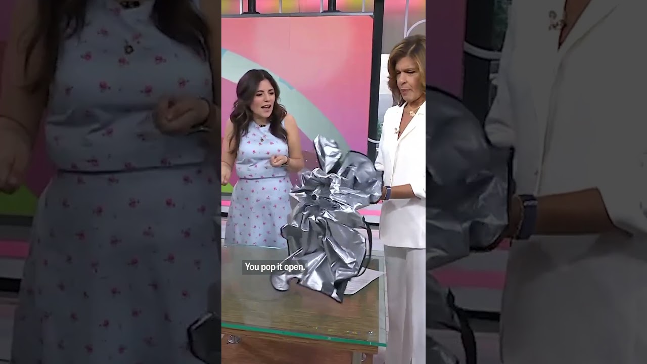 This windshield shade is actually an ... umbrella?