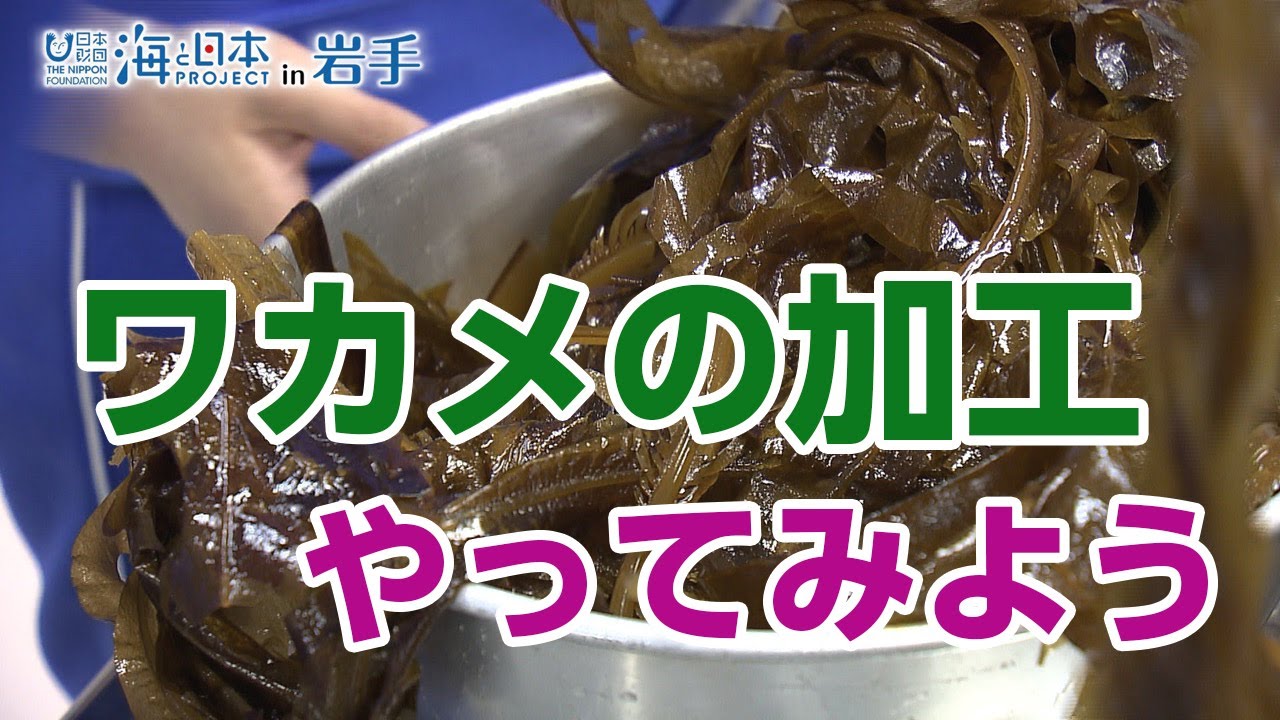 ふるさとの誇り 中学生ワカメ加工体験 日本財団 海と日本project In 岩手 Youtube