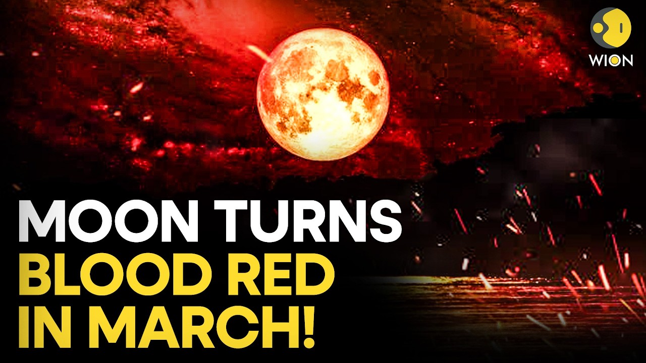 Blood Moon 2026: Why This Rare Total Lunar Eclipse Will Turn The Sky Red | WION Originals
