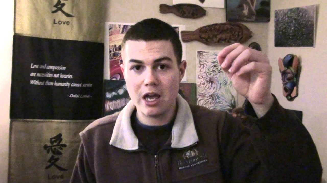 Adjustment Bureau. hollywood propaganda?