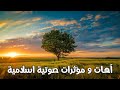 مؤثرات صوتية للمونتاج بدون موسيقى وبدون إيقاع مع خلفية     