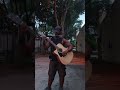 "Bright Sun Shiny Day" Jimmy Buffet #guitar (Cover)