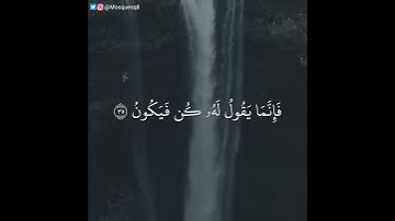 بدر النفيس - سورة مريم || ذلك عيسى ابن مريم قول الحق الذي فيه يمترون
