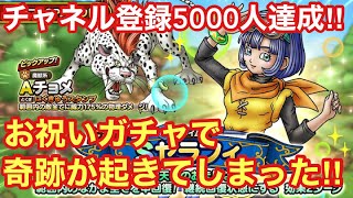 【ドラゴンクエストタクト】祝‼︎チャンネル登録者さん5000人達成記念ガチャ！お祝いガチャで奇跡が起きた！！