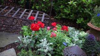 Cedar House Inn wins Best Bed and Breakfast in the United States Cedar House Inn wins Best Bed and Breakfast in the United States