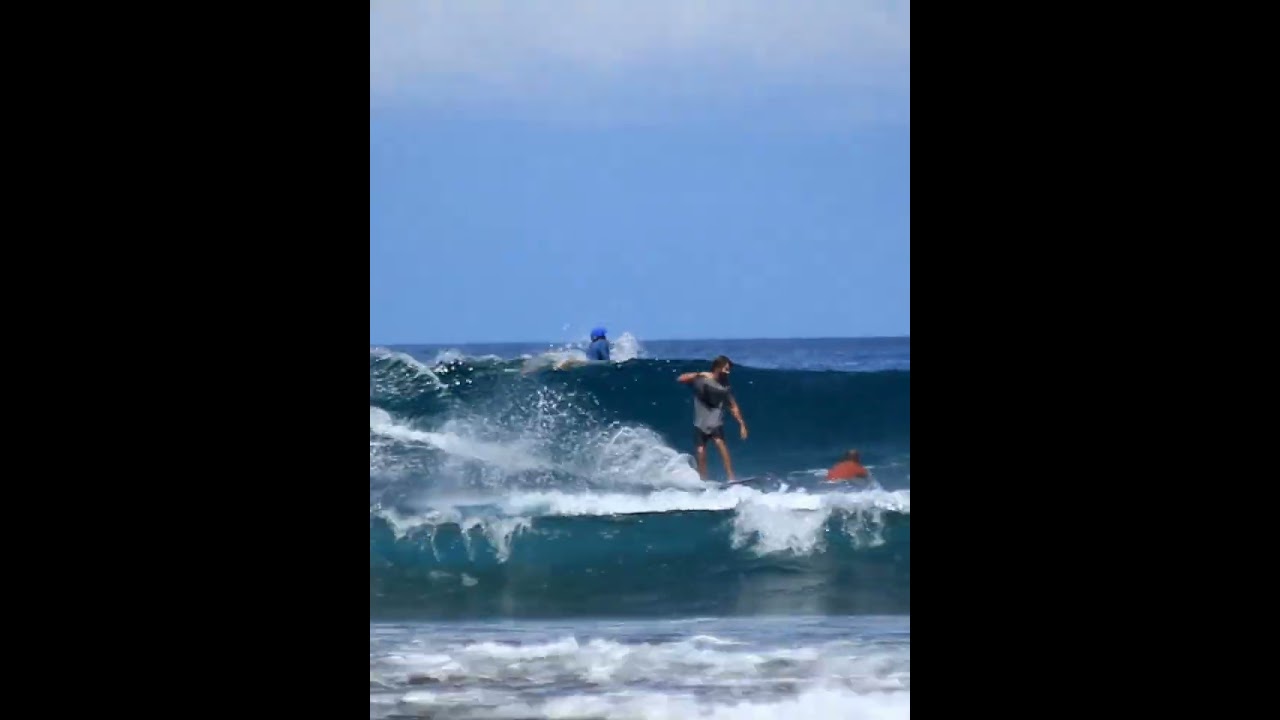Fun Surfing 