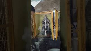 🙏🏻🙏🏻🙏🏻🌹🌹🌹#swami #murugan #potri#