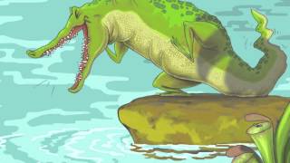 Crock on the Rock 720