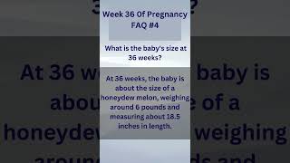 Pregnancy Week by Week | Week 36 of Pregnancy | 3rd Trimester | Week by Week Pregnancy shorts faq 4