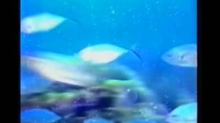 Polsat - Oprawa Graficzna Z 1998-2001 Roku