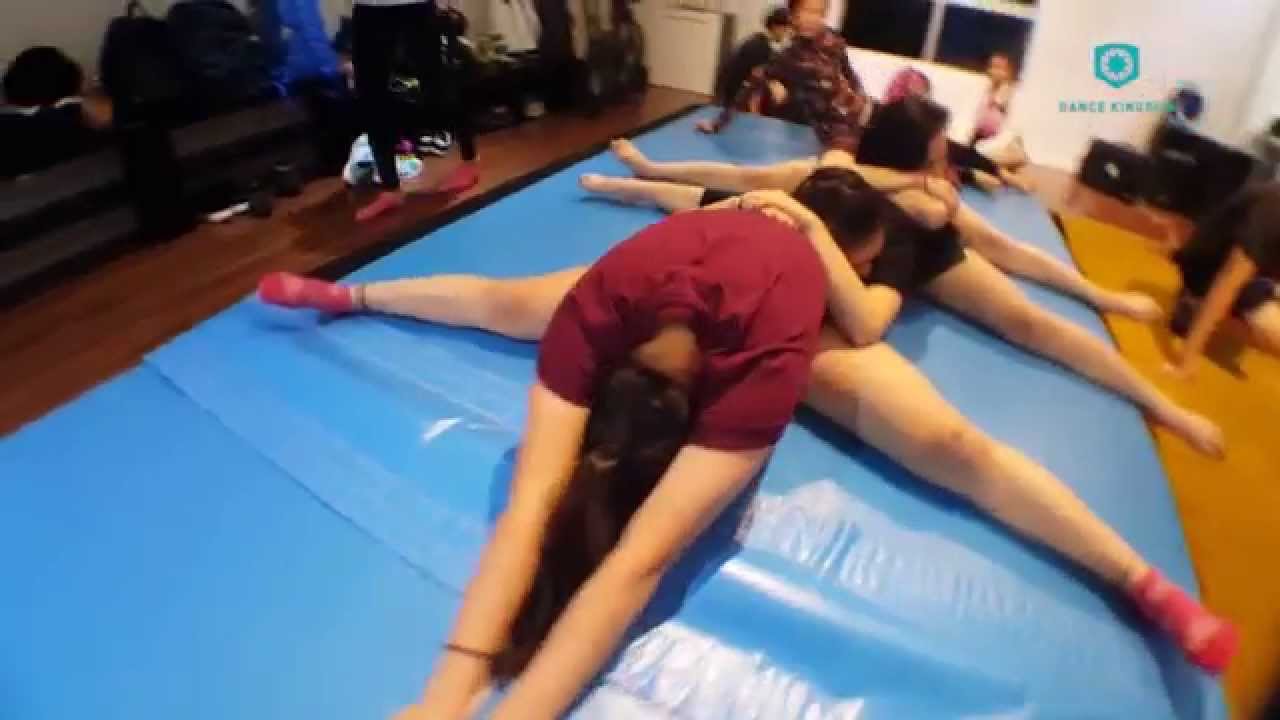 Dancekingdom | Gymnastics |