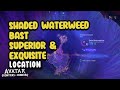 Shaded Waterweed Bast Superior &amp; Exquisite Location | Avatar Frontiers Of Pandora