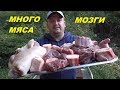 ХОЛОДЕЦ КОТОРЫЙ ВЫ ЕЩЁ НЕ ЕЛИ С МОЗГАМИ