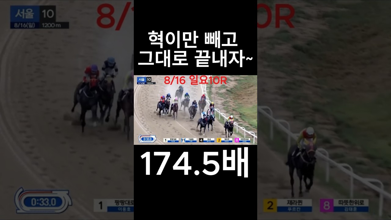 혁이만 빼고 그대로 끝내자  #경마  #경마예상  #경마방송  #경마예상방송  #서울경마  #금요경마  #토요경마  #일요경마 #경마장