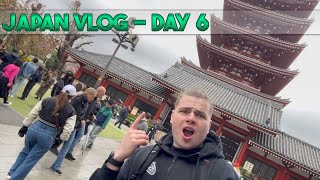 TRYING OUT the JAPANESE MCDONALD'S and VISITING SENSOJI TEMPLE  - JAPAN DAY 6 (ASAKUSA)